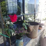 Sweet Сasa de vacaciones *